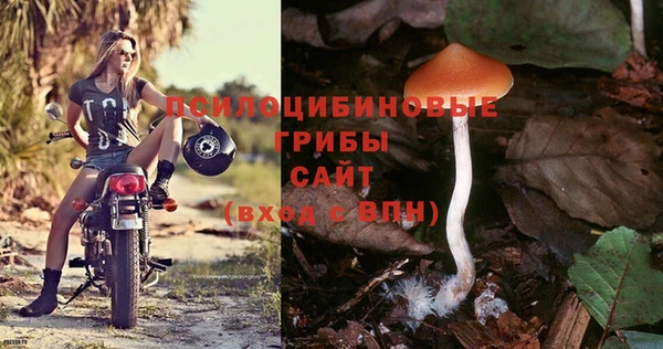spice Заволжье