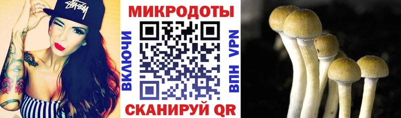 Псилоцибиновые грибы ЛСД  Купить  Петровск 